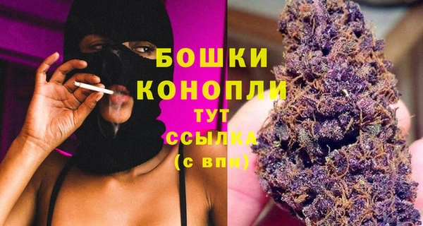 прущий лед Вязьма