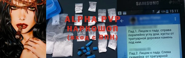 индика Волоколамск
