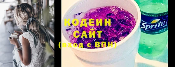 эйфоретик Вяземский